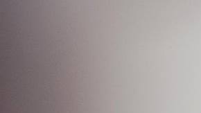 El concejal, Byron Sigcho López, habló en una manifestación de protesta, el 22 de marzo, frente al Ayuntamiento, donde un veterano de la Marina había quemado una bandera estadounidense. Foto extraída de Facebook concejal del Distrito 25.