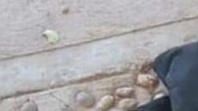 FOTOS: Cártel de Los Viagras así dejaron 8 sicarios del CJNG tras torturarlos