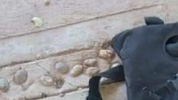 FOTOS: Cártel de Los Viagras así dejaron 8 sicarios del CJNG tras torturarlos