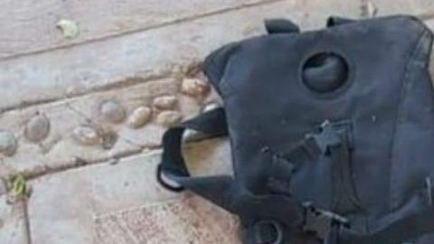 FOTOS: Cártel de Los Viagras así dejaron 8 sicarios del CJNG tras torturarlos