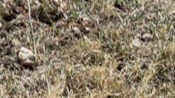 Fotos El aterrador narcocementerio en donde huachioleros y narcos se matan sin piedad