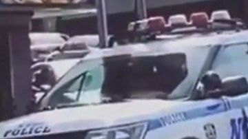 Vandalismo in fraganti contra NYPD en El Bronx