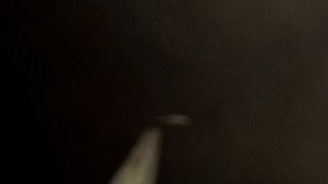 La manzana y el coco actúan como un potente antiácido natural.