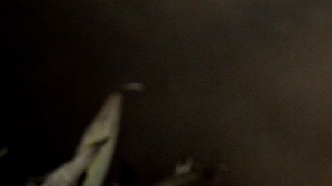 La manzana y el coco actúan como un potente antiácido natural.