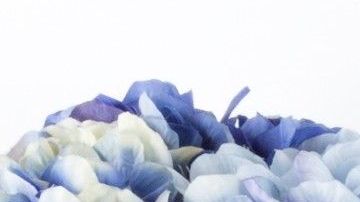 Fuente Pure Garden. / Cortesía: homedepot.com