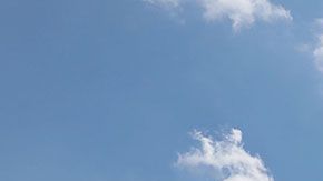 El incidente ocurrió en un McDonald's de Houston.