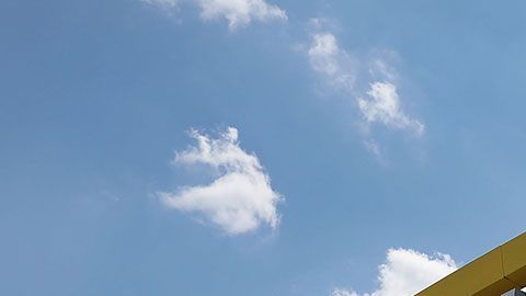 El incidente ocurrió en un McDonald's de Houston.