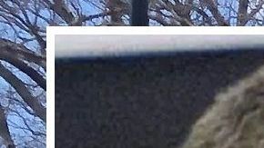 La esposa e hija de Genaro García Luna acudieron a la Corte de Brooklyn.