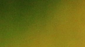 El momento en que un gato bebé robó un trozo de pescado a un vendedor de un mercado fue captado en video y se hizo viral en redes sociales.