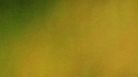 El momento en que un gato bebé robó un trozo de pescado a un vendedor de un mercado fue captado en video y se hizo viral en redes sociales.