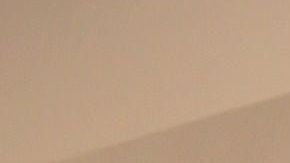 Choupette heredó una fortuna millonaria del diseñador Karl Lagerfeld.