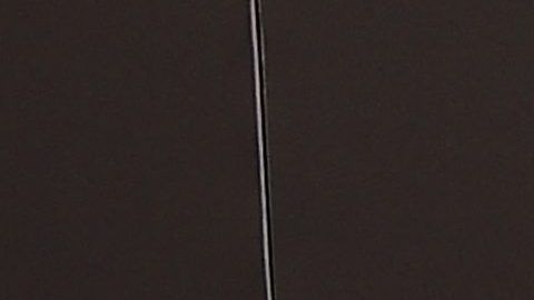 Orson Bean en la premiere de su película "Equalizer 2" junto a Alley Mills.