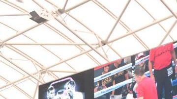 El pugilista kazajo ha retrasado varios meses la primera defensa de su campeonato.