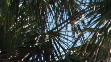 Imagen de archivo de un equipo de emergencia de la ciudad de Sunrise, en Florida