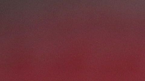 Debutará esta temporada con Sporting Kansas City.