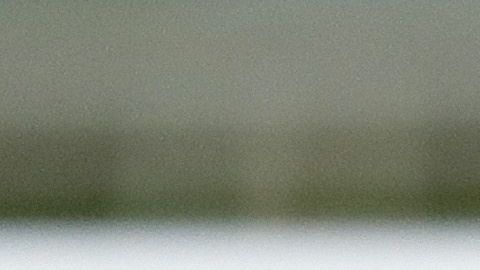 Maximum Security montado por Luis Sáez en 2019.