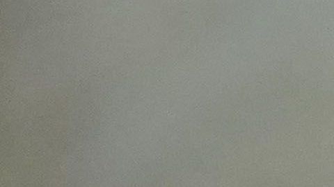 La Primera Dama acude a algunos eventos oficiales en la Oficina Oval.