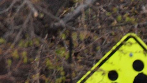 El tiroteo ocurrió en una escuela en Denver, Colorado.
