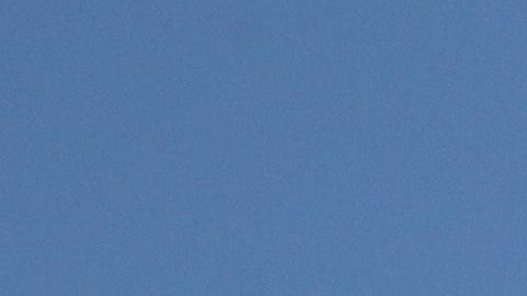 Un Boeing 737 de Southwest Airlines se prepara para aterrizar.