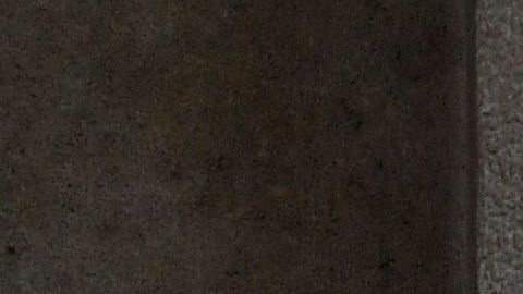 Los Fontana suelen cuidar a los gatitos con varias necesidades médicas.