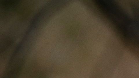 Humanitarian Aid Groups Help Immigrants In Borderlands