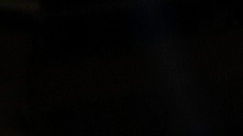 Andy Ruiz y Manny Robles conquistaron los cetros de la FIB, AMB y OMB en 2019.