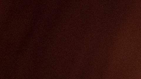 El exagente de la DEA enfrenta 19 cargos.