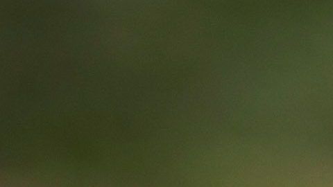 Cinta policial en escena de crimen. Imagen ilustrativa.