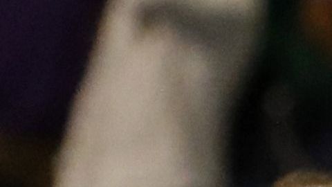 Un columnista mexicano aseguró que las mujeres involucradas fueron invitadas por un jugador