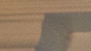 Miller es asesor de la Casa Blanca y su esposa, Katie, portavoz del vicepresidente Mike Pence.