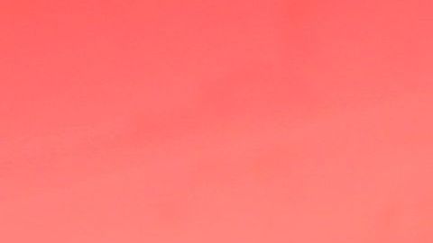 Travis Scott, Stormi Webster y Kylie Jenner.