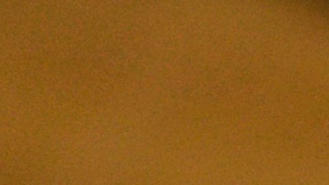 A través de esta herramienta de código QR la víctima puede acceder a información valiosa como buscar asesoramiento, una orden de protección y más.