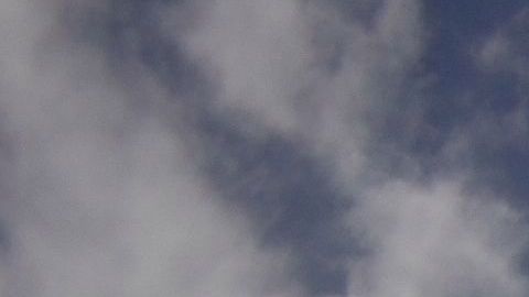 Los responsables del parque informaron de su decisión a los funcionarios locales y estatales de Orlando.