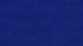 El exvicepresidente Joe Biden y el senador Bernie Sanders.