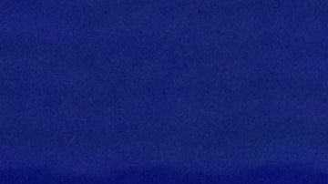 El exvicepresidente Joe Biden y el senador Bernie Sanders.