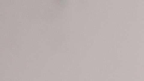 La idea de Sylvester Stallone suena bien.