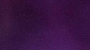 Lamar Jackson hizo una temporada incomparable.