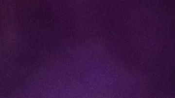 Lamar Jackson hizo una temporada incomparable.