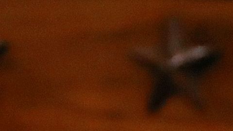 La representante Verónica Escobar.