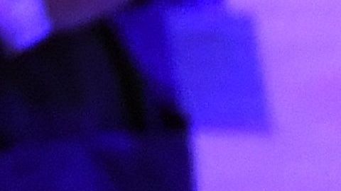 Los jugadores de los Lakers estaban volando luego de una gira cuando se enteraron del trágico suceso.