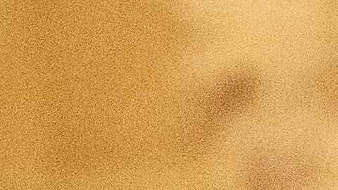 Donald y Melania Trump al llegar a la fiesta de Super Bowl.