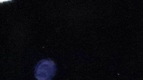 Shakira y Jennifer López.