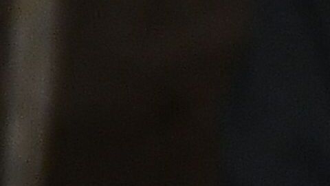 Trump en su discurso sobre el Estado de la Unión 2020.