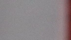 Trump en su informe del Estado de la Unión.