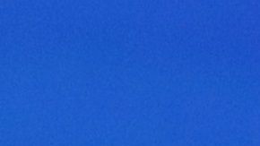 Bernie Sanders se impuso en los 'caucuses' de Nevada.