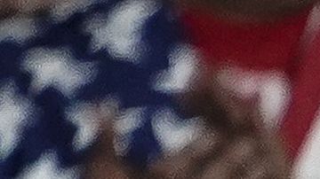 El presidente Trump comparó a inmigrantes con "vívoras".