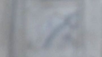 La pareja presidencial tuvo una sesión de fotos frente al Taj Mahal.