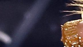 Shakira y JLo durante el final de su actuación en el medio tiempo del Super Bowl LIV.