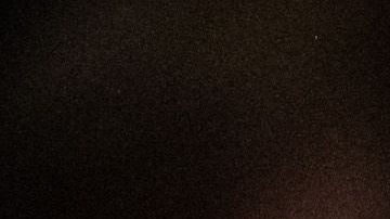 Joe Biden ganó las elecciones en Carolina del Sur.