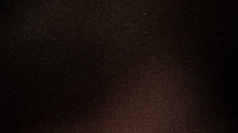 Joe Biden ganó las elecciones en Carolina del Sur.